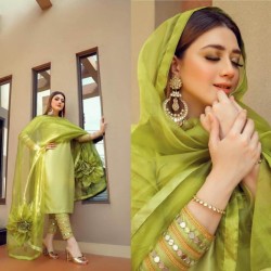 Green Color Organza Fabric Salwar Suit with Gorgeous Dupatta